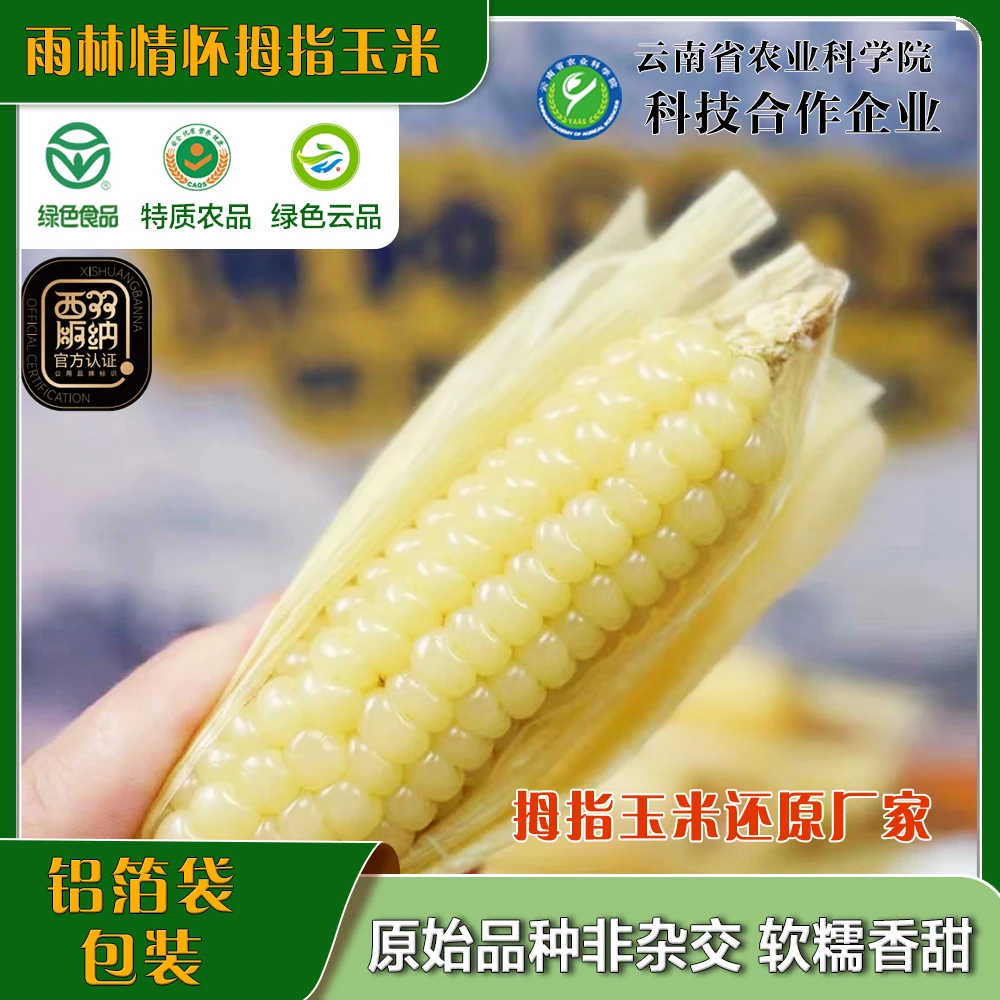 雨林情怀白糯拇指玉米香糯甜软宝宝早餐代餐绿色食品真空包装