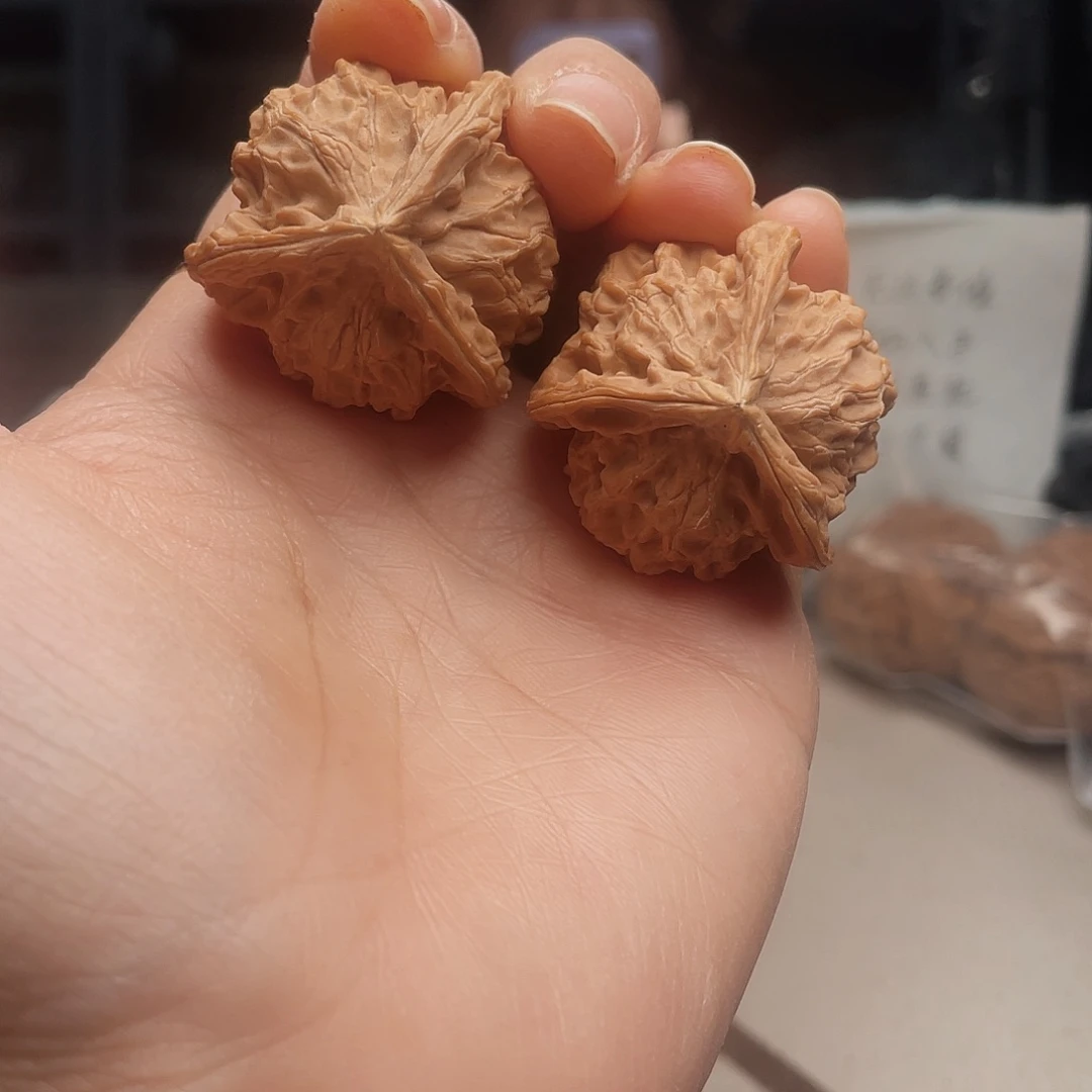 吊坠文玩核桃辉三棱草的叶子都很