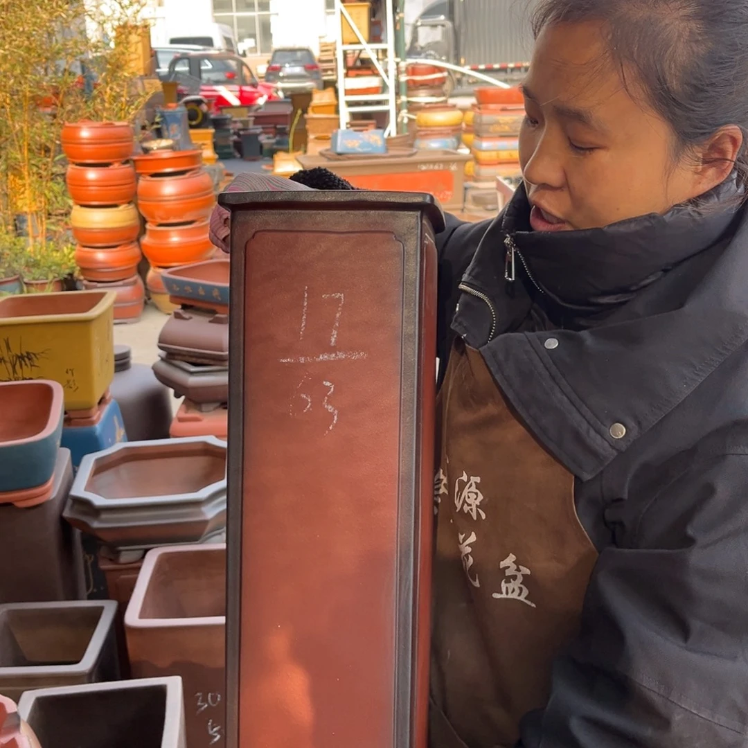 花盆紫砂盆景艺术