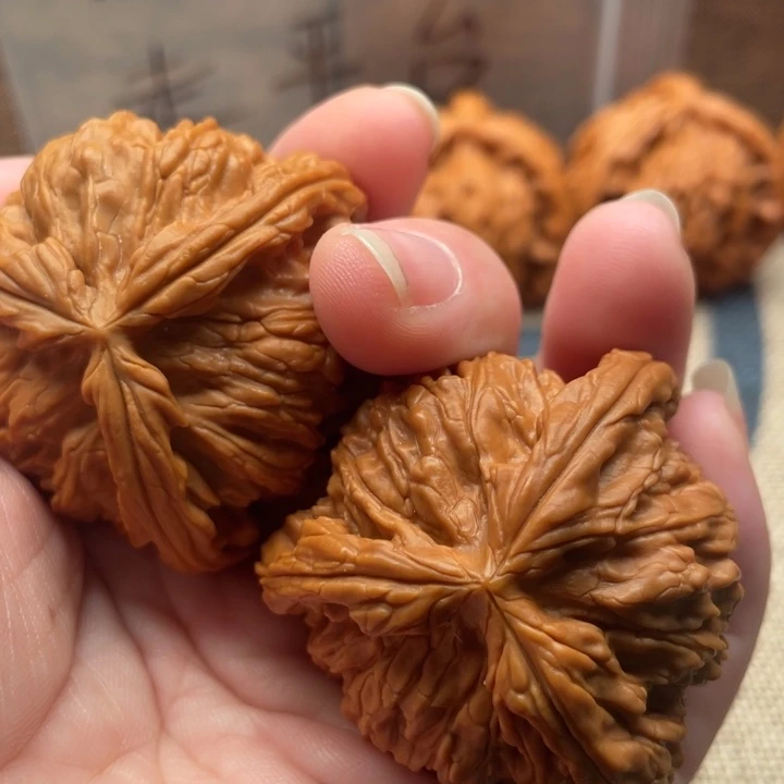 嗨***哥核桃白狮子43核桃