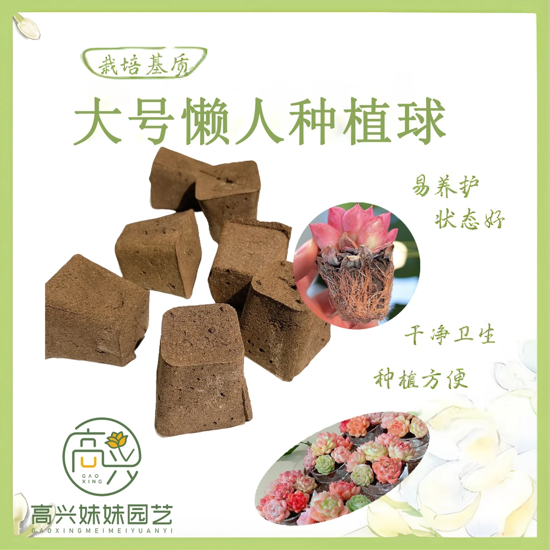 大号生物懒人种植球无土多肉栽培基质控养育苗块无土植物营养基质