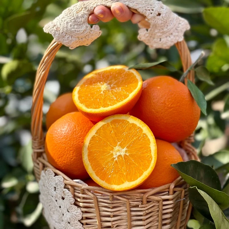 湖北秭归伦晚脐橙甜橙伦晚橙春橙橙子现摘爆汁香甜新鲜水果