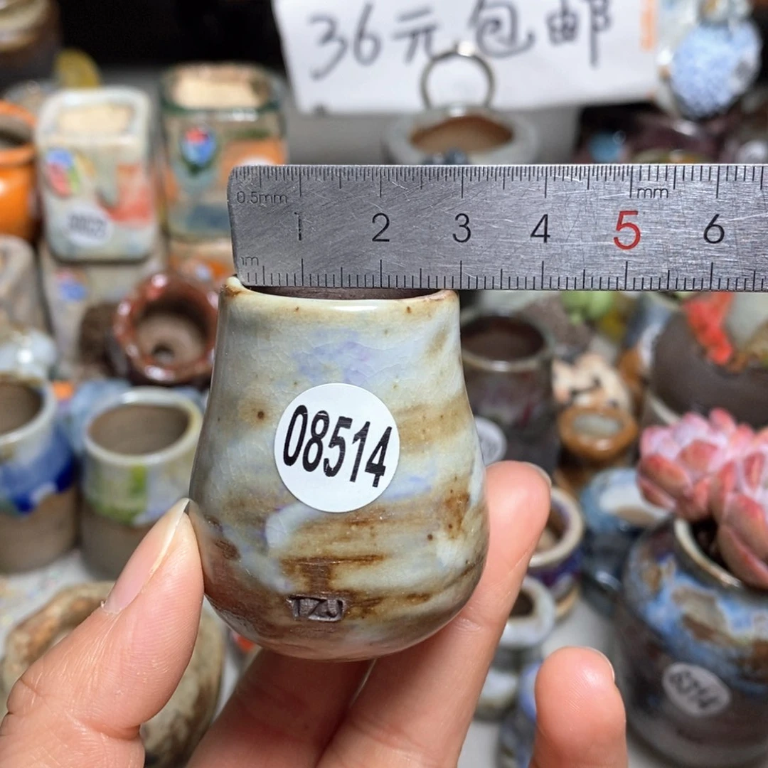 花盆拍5送一个小礼物
