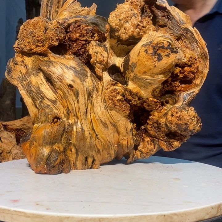 放**我我们都是你的粉丝127