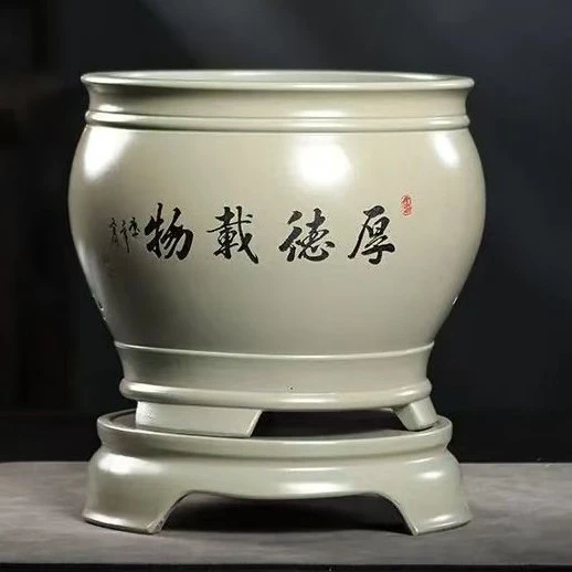 带托盘花盆适合君子兰蝴蝶兰等室内绿植盆栽