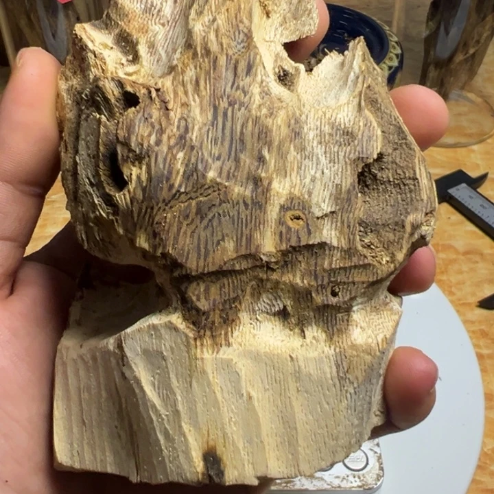 沉香沉香碎屑虫漏