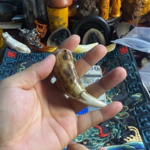 瓷片寻呼台的人也太少见啦