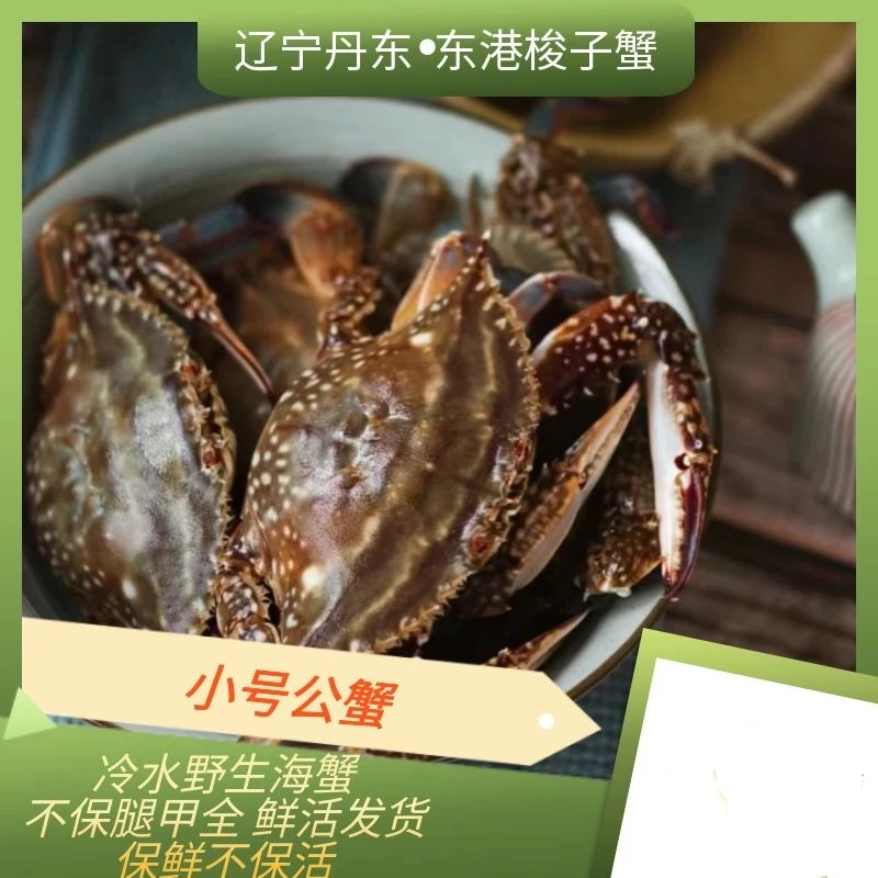 【保鲜不保活】小号公蟹2两左右/只3斤装不保腿甲全