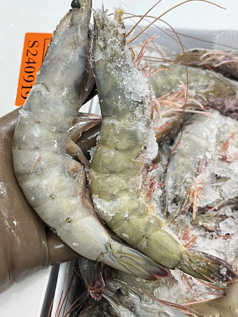 【新疆直发】30-40皇冠虾盒装大号海虾速冻新鲜美味