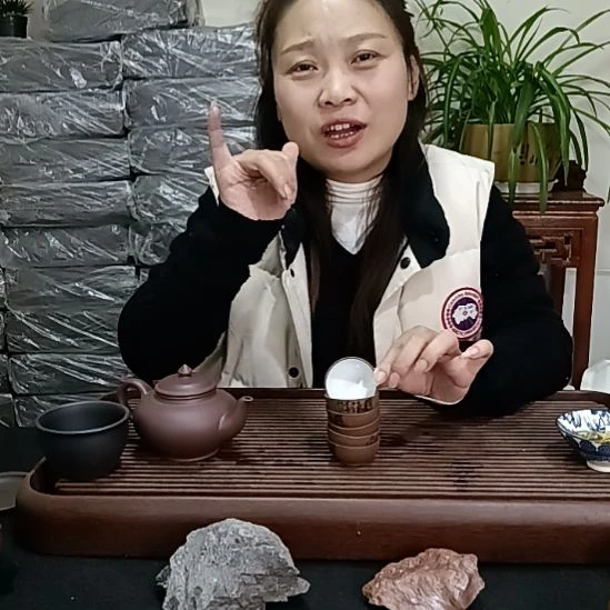 茶杯紫砂宜兴紫砂壶