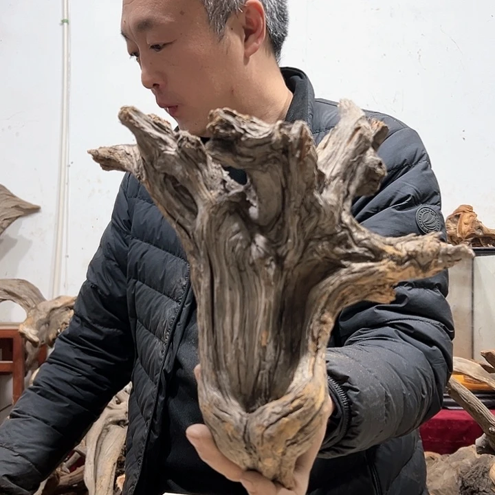 柏木天**～我们的生活也是