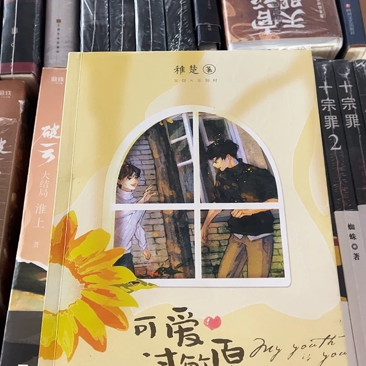 可爱过敏原全新全套两本带周边