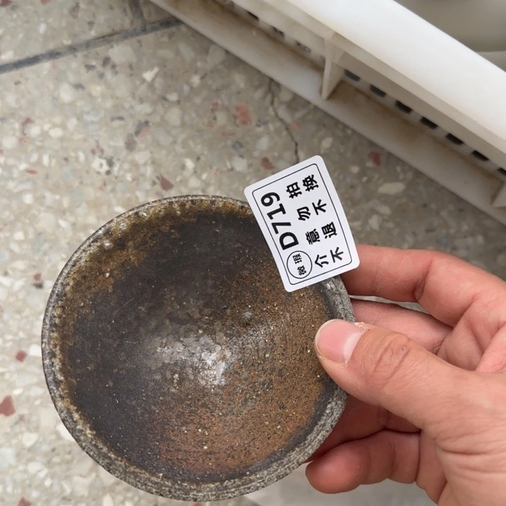 紫砂茶壶柴烧福利xin品多多