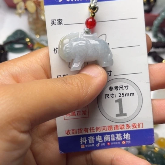 翡翠未镶嵌颈饰挂件