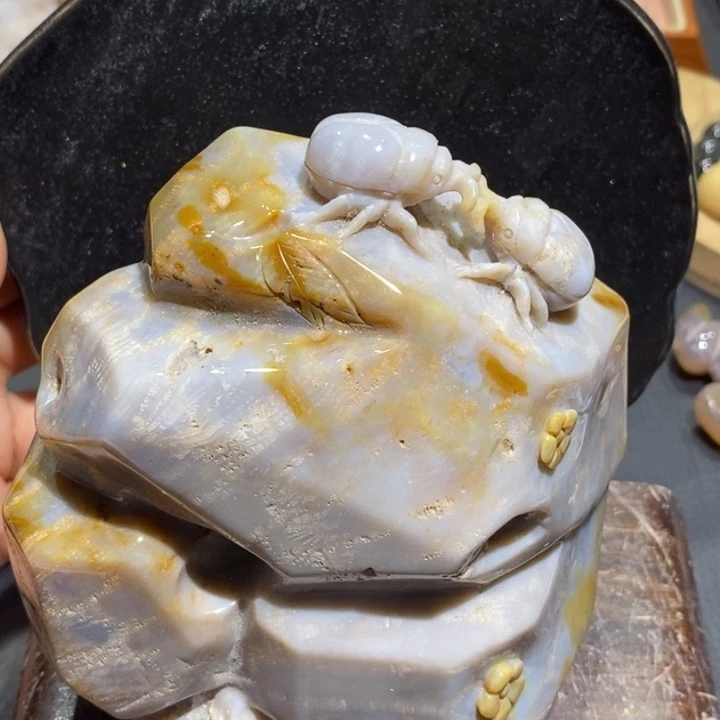 【闪购商品】未镶嵌珊瑚玉硅化玉