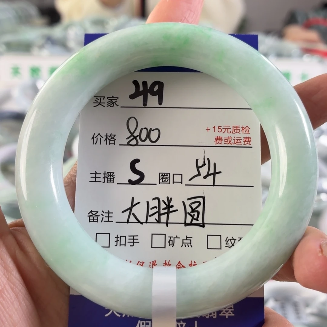 翡翠未镶嵌手镯54
