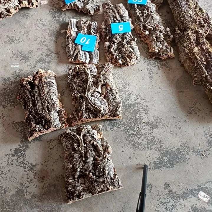 木一物一拍一物一发