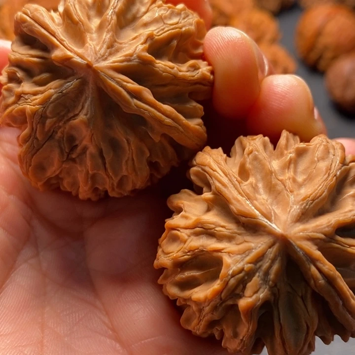 秦岭野生文玩核桃