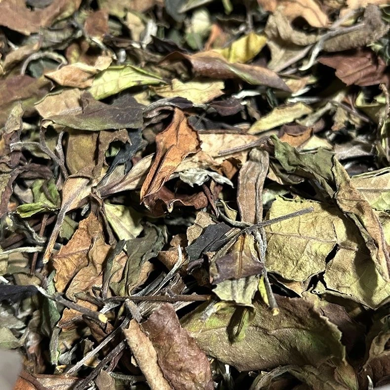 白茶寒露散茶花香四溢适合做口粮茶