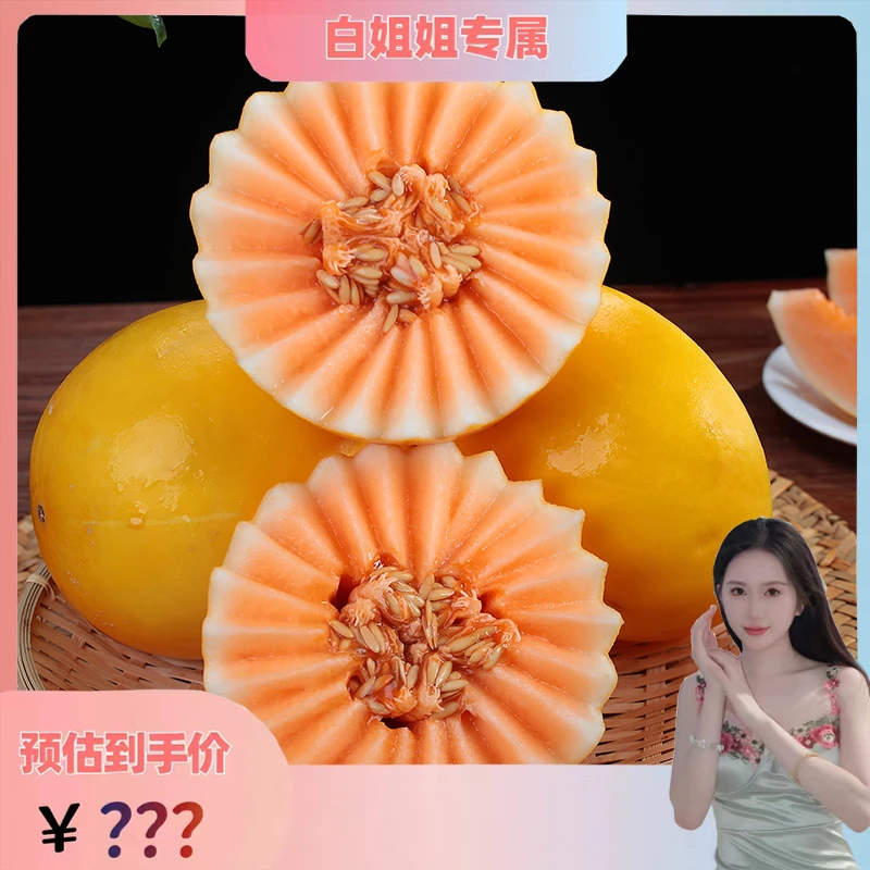 【白姐姐专属】甘肃民勤沙漠蜜瓜8-9斤新鲜应季水果甜瓜多仓发货
