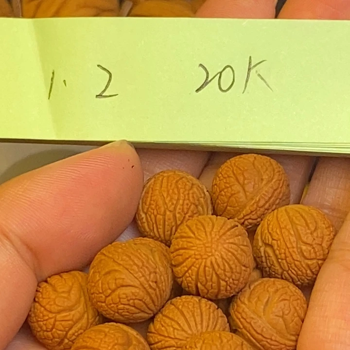 吊坠桃核秦岭龙纹桃核22