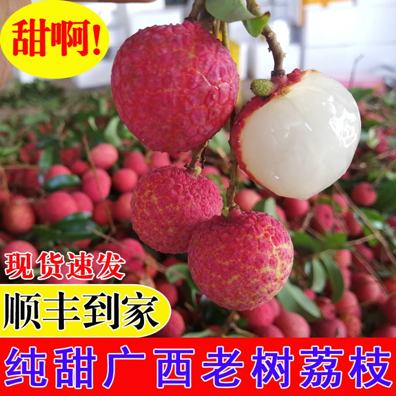 顺丰冷链【助农特惠5/10斤装】超甜广西老树荔枝 新鲜现摘禾荔怀枝