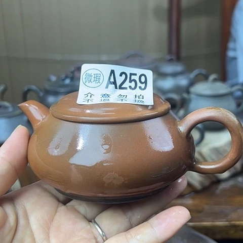 戬谷龙窑柴烧茶壶259