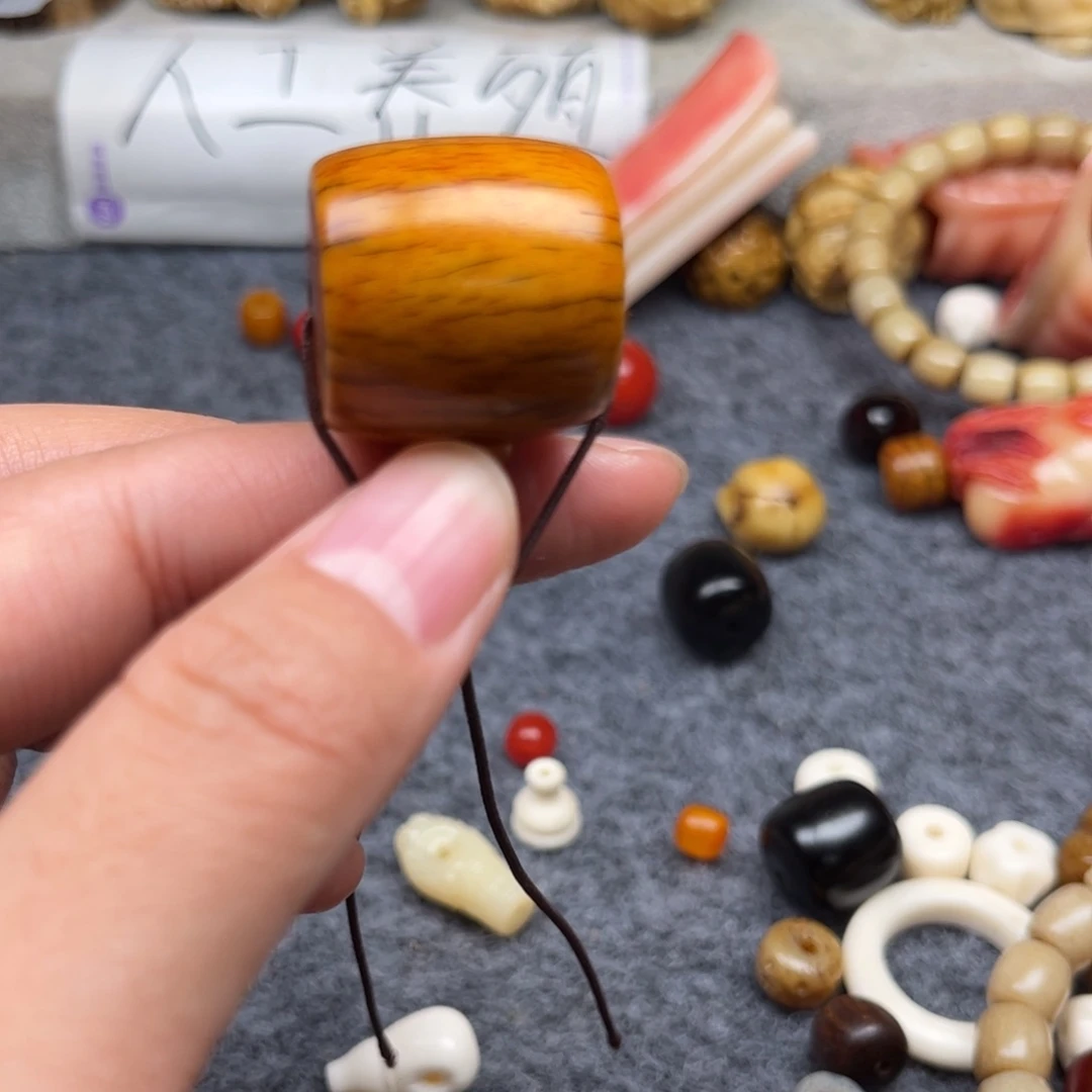 鹿骨其他人工养殖驼骨20