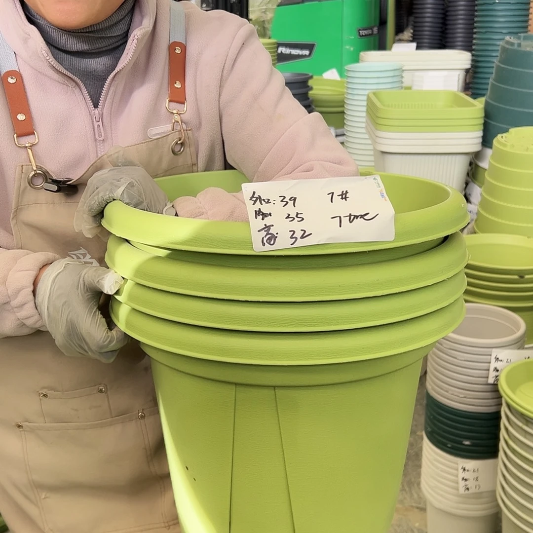 青山盆7#果绿色5个无托