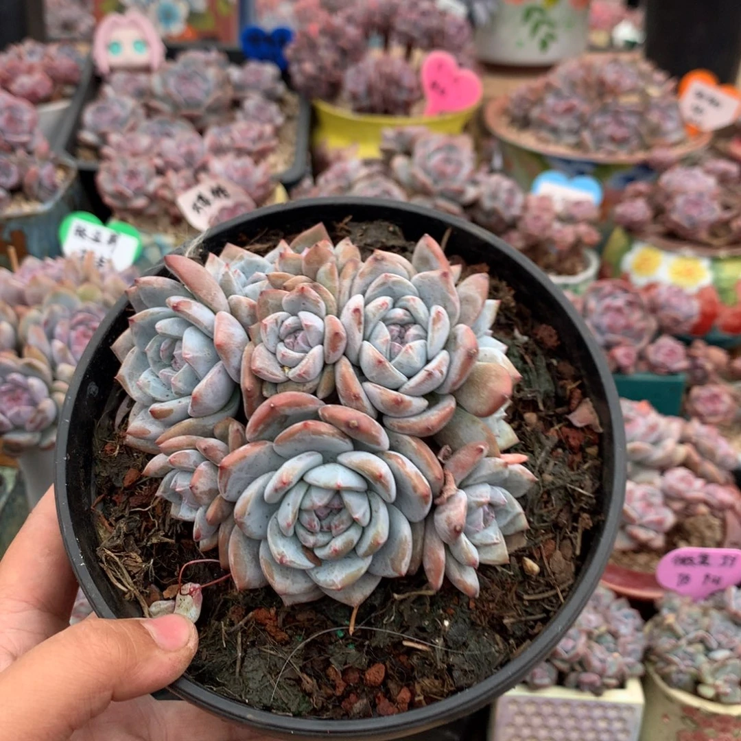 哈哈哈哈哈哈哈哈哈38