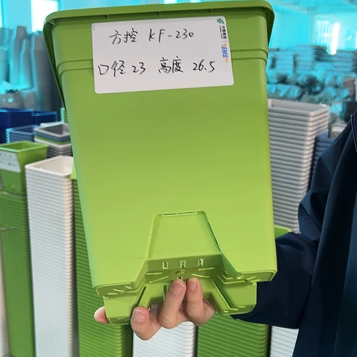 正品方盆口23高26果绿无托5只