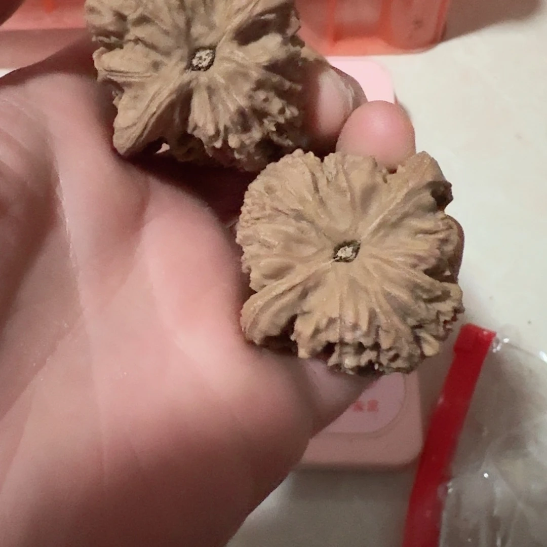 全品南疆石狮子头