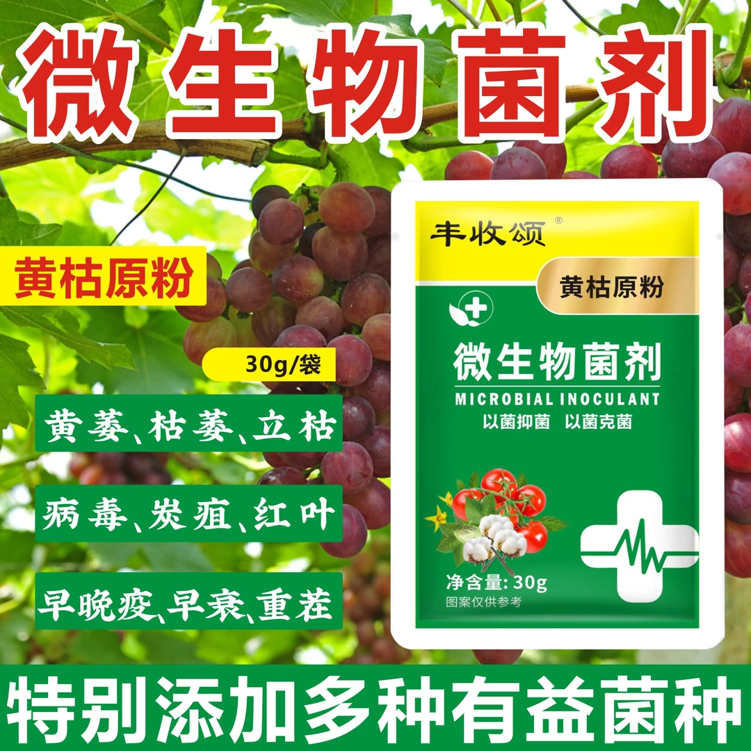 丰收颂黄枯原粉复合微生物菌剂农用新型叶面肥枯萎立枯
