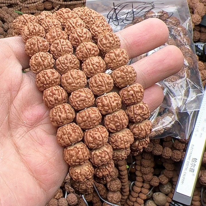 金刚菩提手串尘*藏式