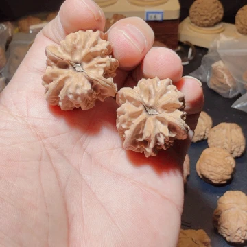 文玩核桃把件緣**曹大龙33