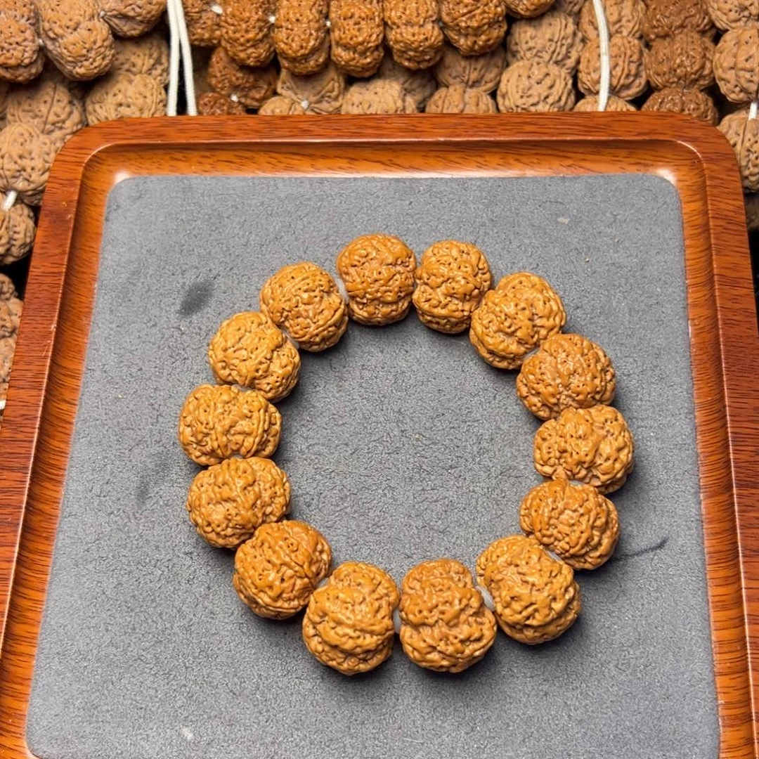 菩提18号尼泊尔大金刚23.5-24六瓣雪花扇面