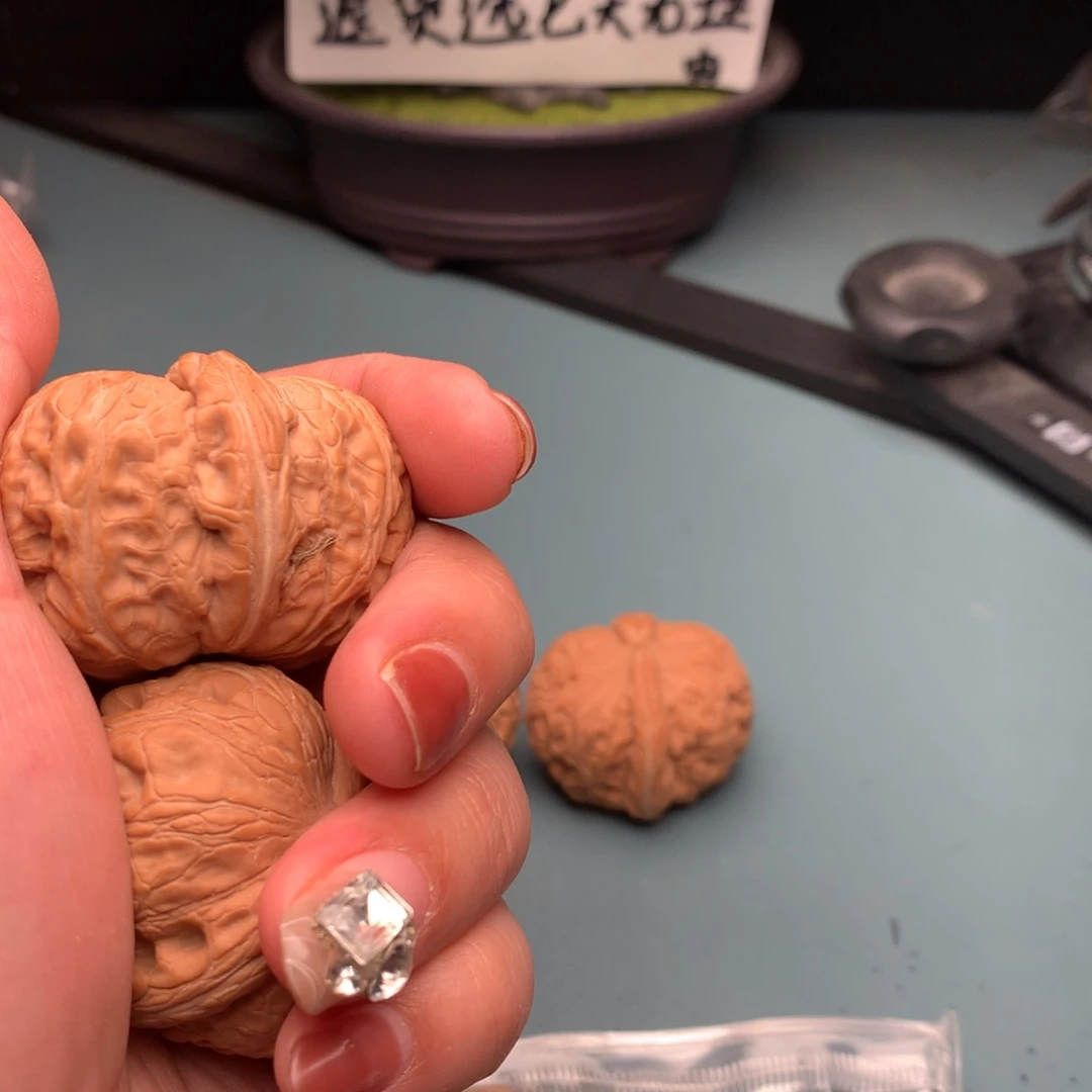 文玩核桃把件全品元宝4647