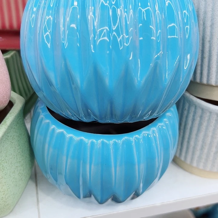 多肉植物陶瓷花盆