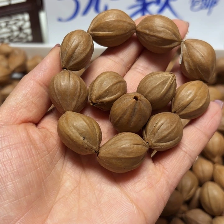 橄榄核其他H****i1.9四花铁核