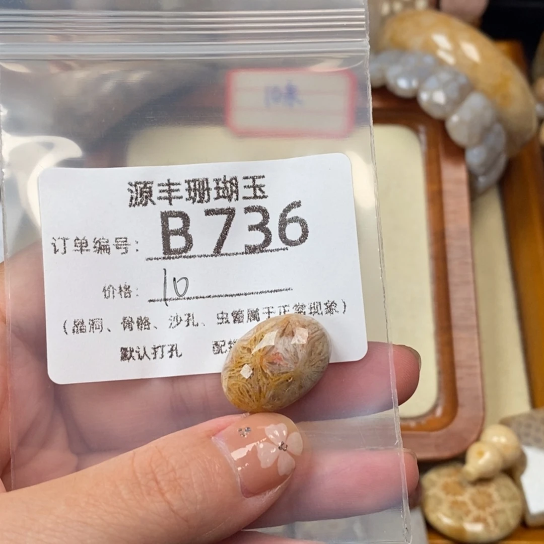 啊****未镶嵌颈饰硅化玉