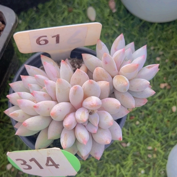 健健康康平平安安