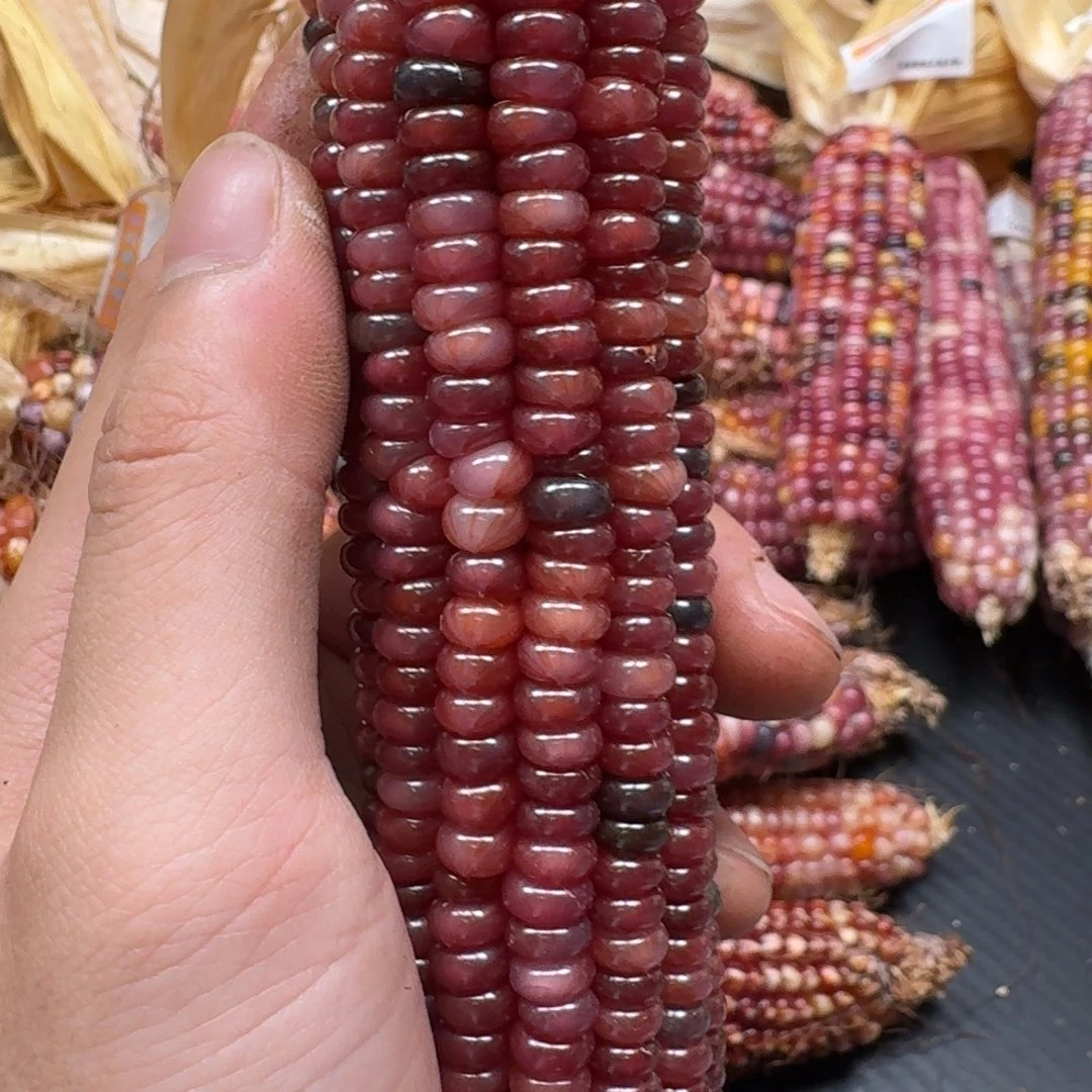 䴥***爺吊坠柏香籽/百香籽