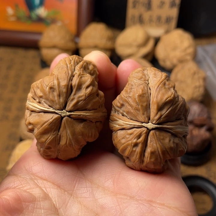 海***子云南野生铁核桃编号86