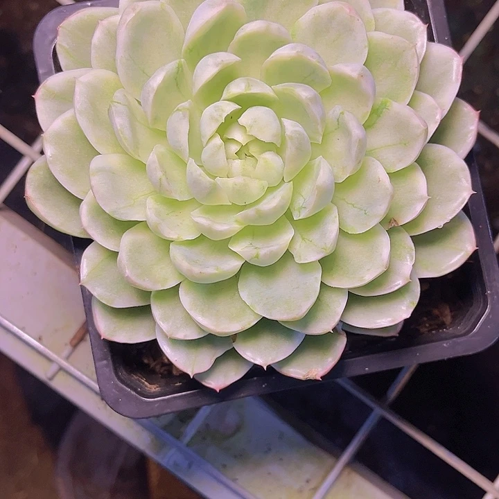 这几句真的好好啊哈哈e