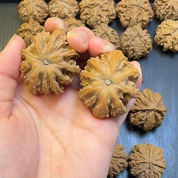 核桃秦岭森林茂密如云