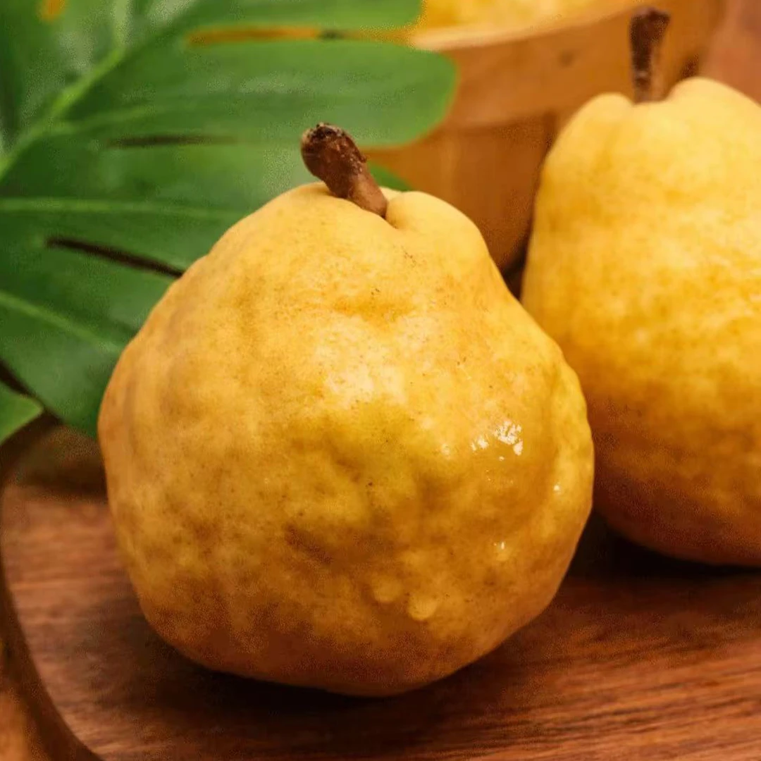 【童小姐】山东中华丑梨净果2.5斤