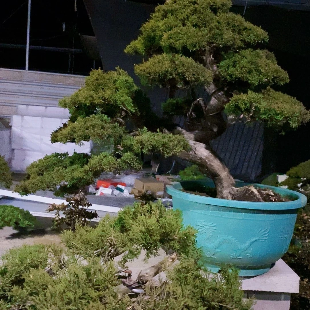 【闪购商品】无花朵大*