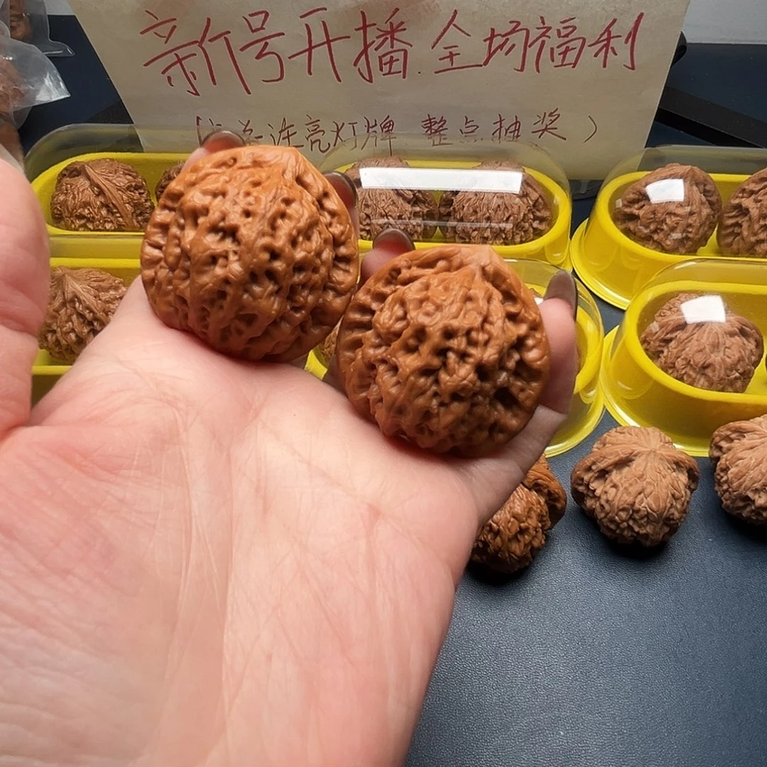 核桃39尺寸金公子