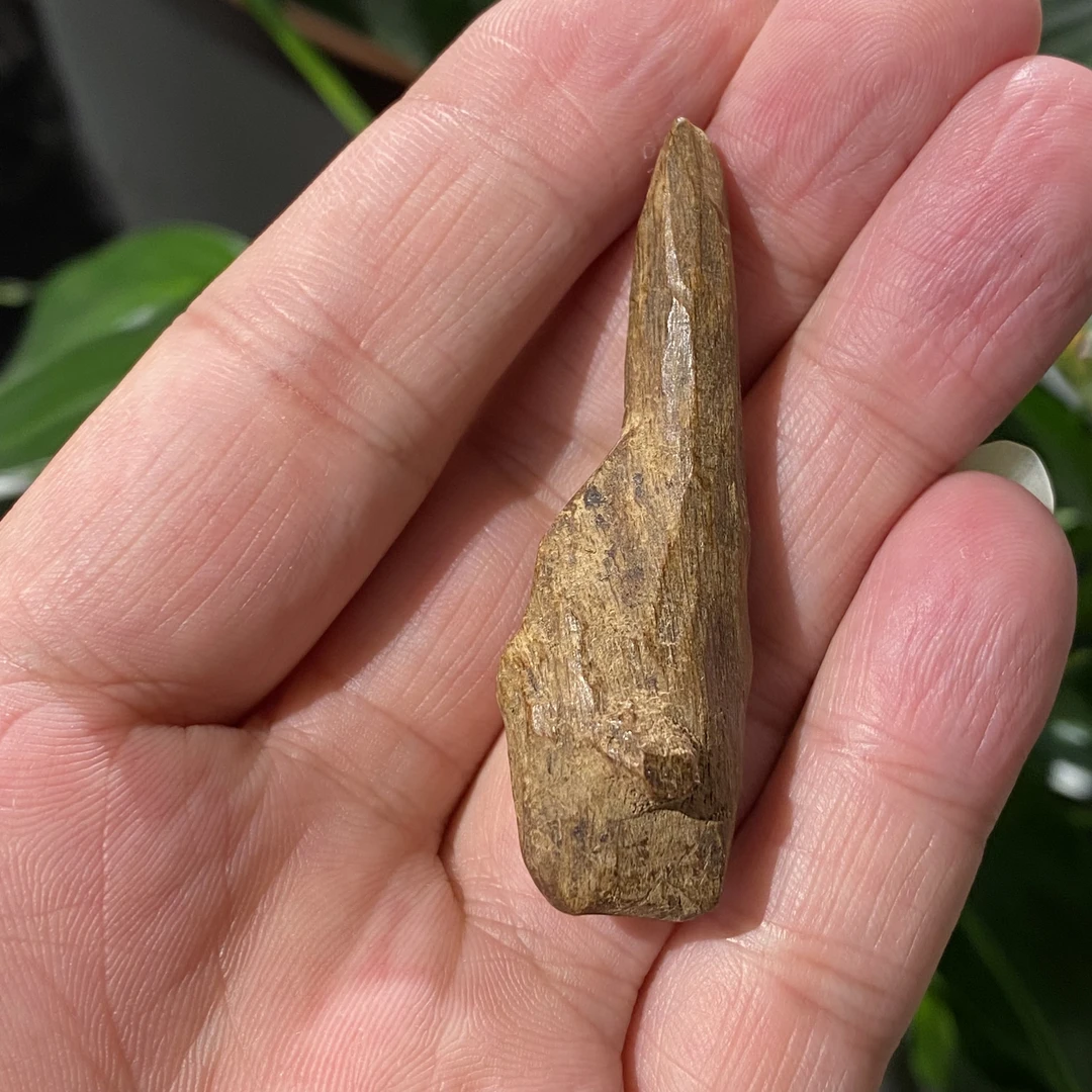 沉香越南惠安红土棋肉沉香吊坠/沉水料/5.89克