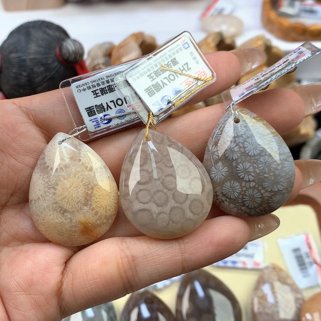 【闪购商品】颈饰未镶嵌硅化珊瑚（珊瑚玉）*️**